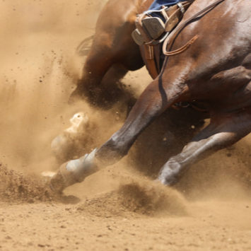 San Antonio Stock Show and Rodeo 2023 Lineup and Ticket Schedule