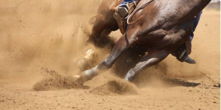 San Antonio Stock Show and Rodeo 2023 Lineup and Ticket Schedule