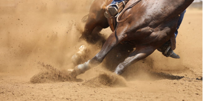 Houston Rodeo 2022 Performance Schedule