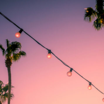 Camp Flog Gnaw Carnival 2023 Ticket Schedule