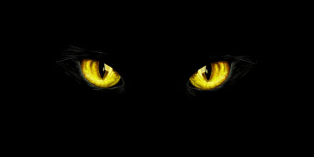 Cats: The Musical in Theater – 2022-2023 Performance Schedule