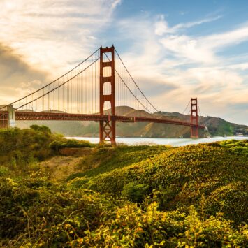 System of a Down and Deftones in Golden Gate Park 2024 Announcement